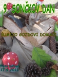sonckov_dan_2011